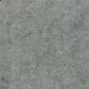 cvet_13.jpg