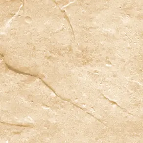 1. БФ 505_292.jpg